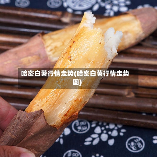 哈密白薯行情走势(哈密白薯行情走势图)