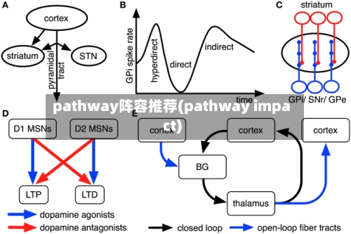 pathway阵容推荐(pathway impact)