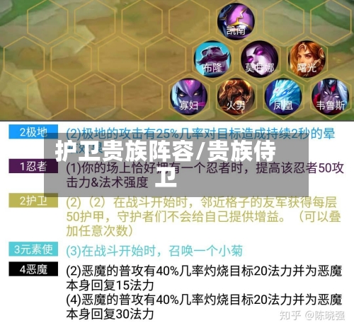 护卫贵族阵容/贵族侍卫