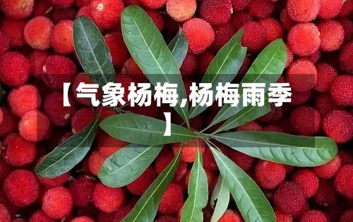 【气象杨梅,杨梅雨季】