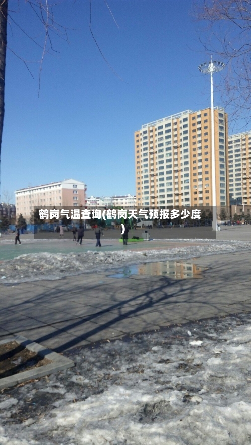 鹤岗气温查询(鹤岗天气预报多少度)