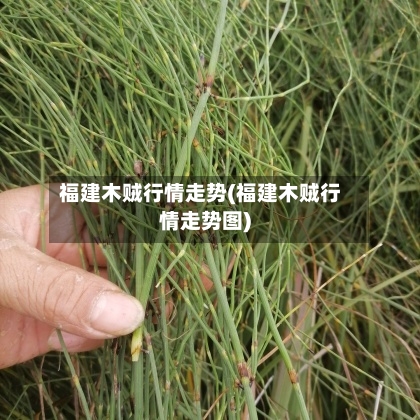 福建木贼行情走势(福建木贼行情走势图)