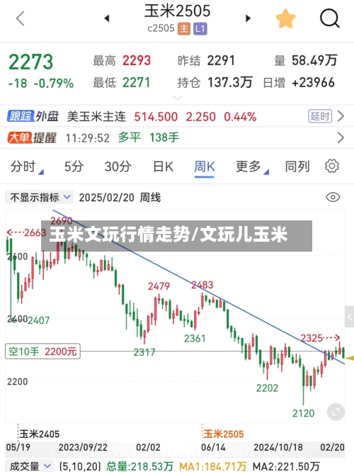 玉米文玩行情走势/文玩儿玉米