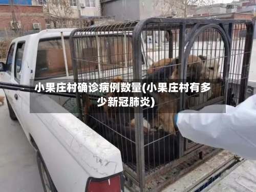 小果庄村确诊病例数量(小果庄村有多少新冠肺炎)-第2张图片