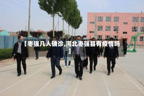 【枣强几人确诊,河北枣强县有疫情吗】