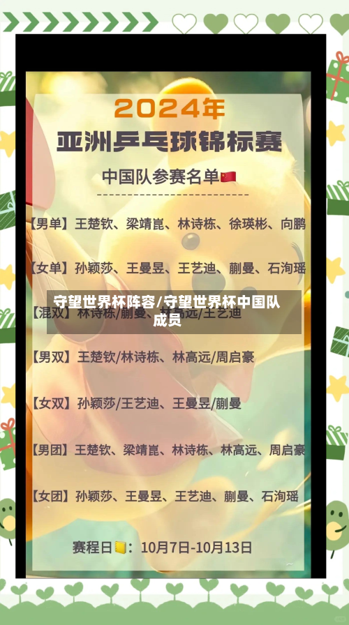 守望世界杯阵容/守望世界杯中国队成员-第3张图片