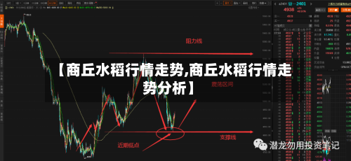【商丘水稻行情走势,商丘水稻行情走势分析】-第3张图片