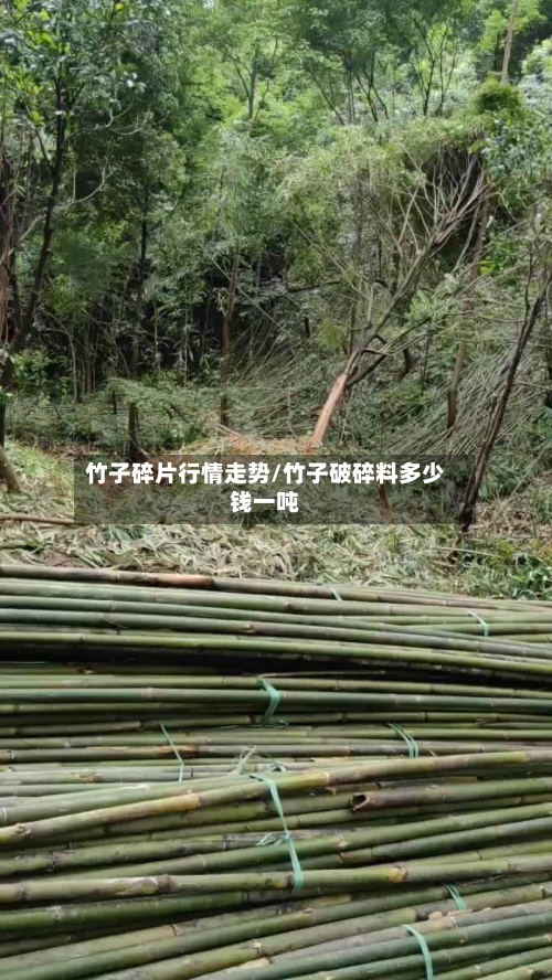 竹子碎片行情走势/竹子破碎料多少钱一吨