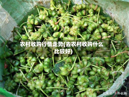 农村收购行情走势(去农村收购什么比较好)