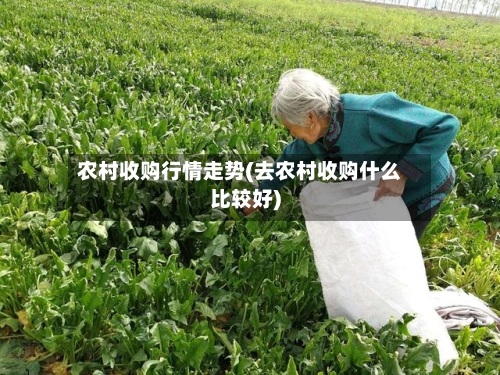 农村收购行情走势(去农村收购什么比较好)-第2张图片