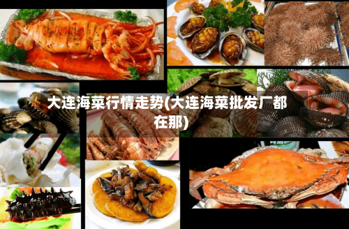 大连海菜行情走势(大连海菜批发厂都在那)-第2张图片