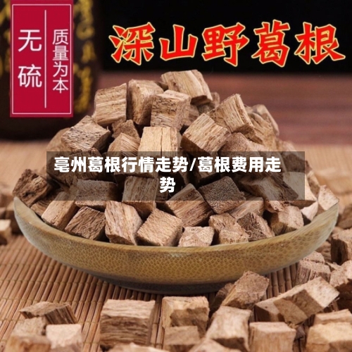 亳州葛根行情走势/葛根费用走势-第3张图片