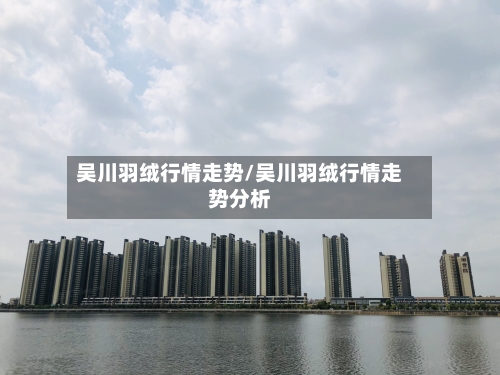 吴川羽绒行情走势/吴川羽绒行情走势分析