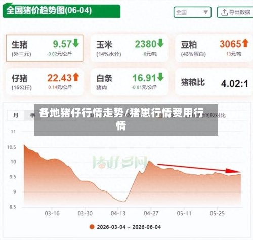 各地猪仔行情走势/猪崽行情费用行情-第3张图片