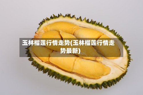 玉林榴莲行情走势(玉林榴莲行情走势最新)