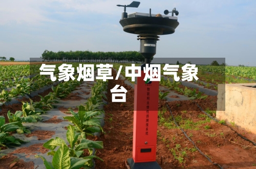 气象烟草/中烟气象台