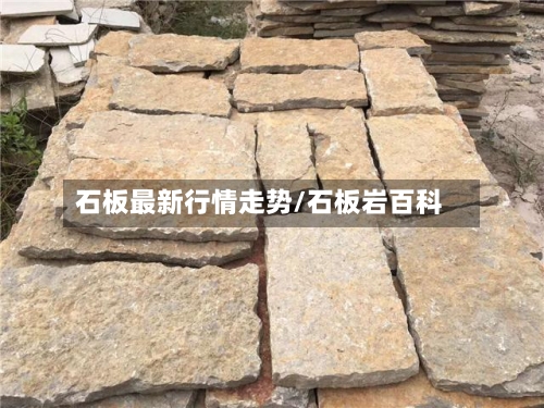 石板最新行情走势/石板岩百科-第3张图片