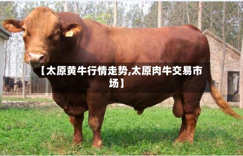 【太原黄牛行情走势,太原肉牛交易市场】-第3张图片