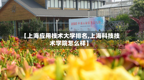 【上海应用技术大学排名,上海科技技术学院怎么样】-第2张图片
