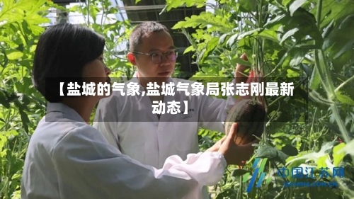 【盐城的气象,盐城气象局张志刚最新动态】-第2张图片