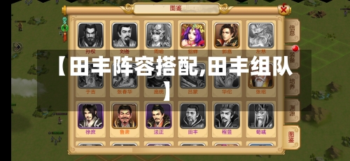 【田丰阵容搭配,田丰组队】-第2张图片