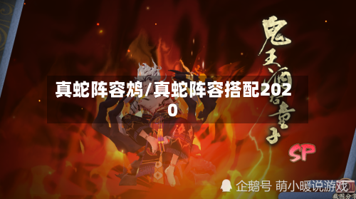 真蛇阵容鸩/真蛇阵容搭配2020