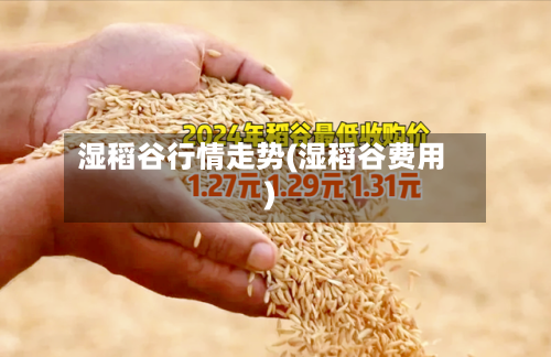 湿稻谷行情走势(湿稻谷费用)-第2张图片