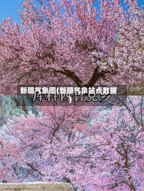 新疆气象图(新疆气象站点数据)