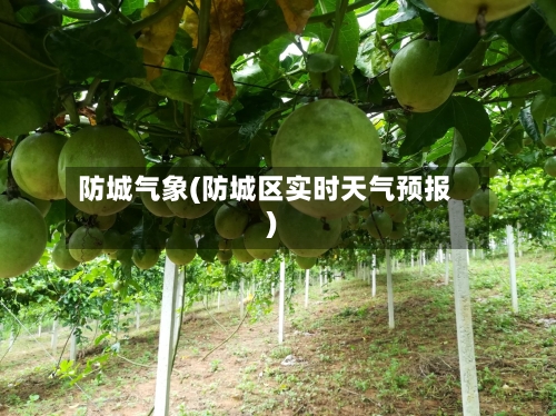 防城气象(防城区实时天气预报)-第2张图片