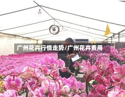 广州花卉行情走势/广州花卉费用