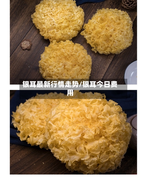 银耳最新行情走势/银耳今日费用