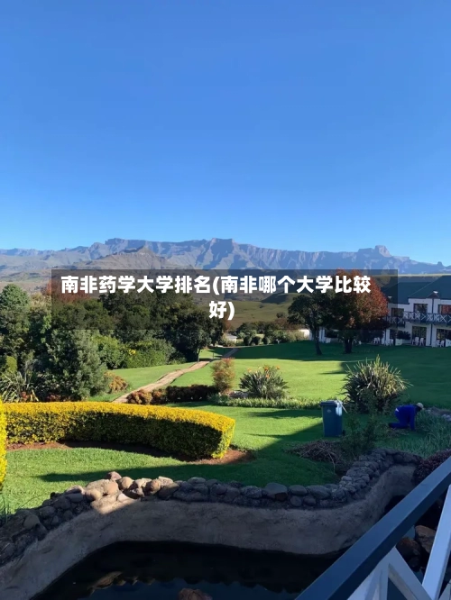 南非药学大学排名(南非哪个大学比较好)-第3张图片
