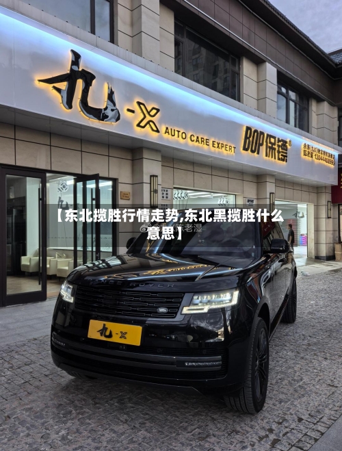 【东北揽胜行情走势,东北黑揽胜什么意思】-第2张图片