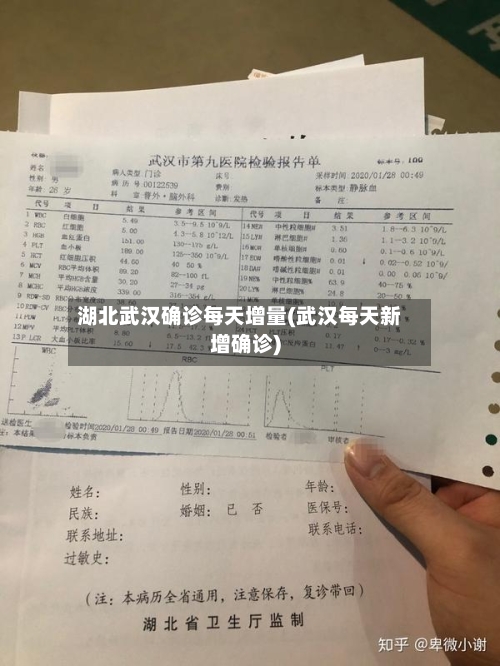 湖北武汉确诊每天增量(武汉每天新增确诊)