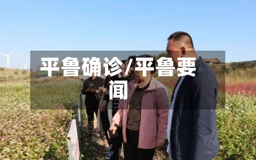 平鲁确诊/平鲁要闻