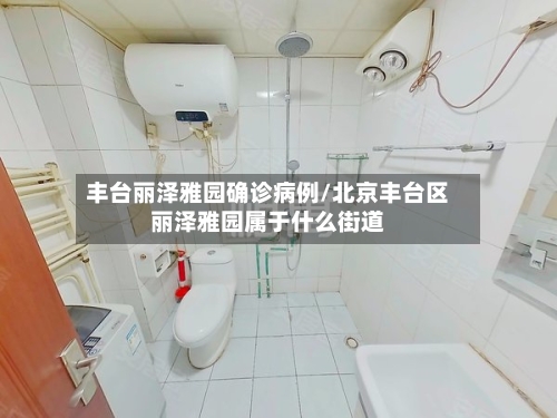 丰台丽泽雅园确诊病例/北京丰台区丽泽雅园属于什么街道-第2张图片