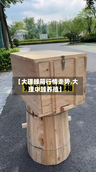 【大理蜂箱行情走势,大理中蜂养殖】