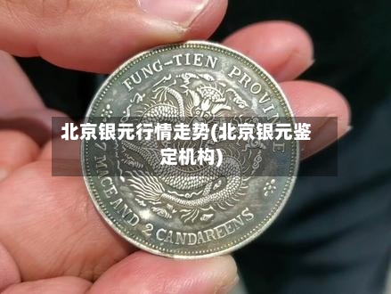 北京银元行情走势(北京银元鉴定机构)-第2张图片