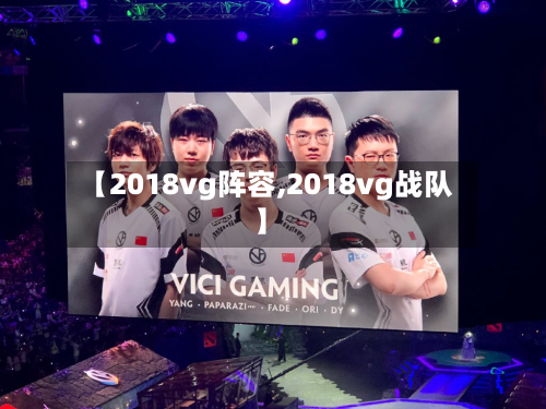 【2018vg阵容,2018vg战队】