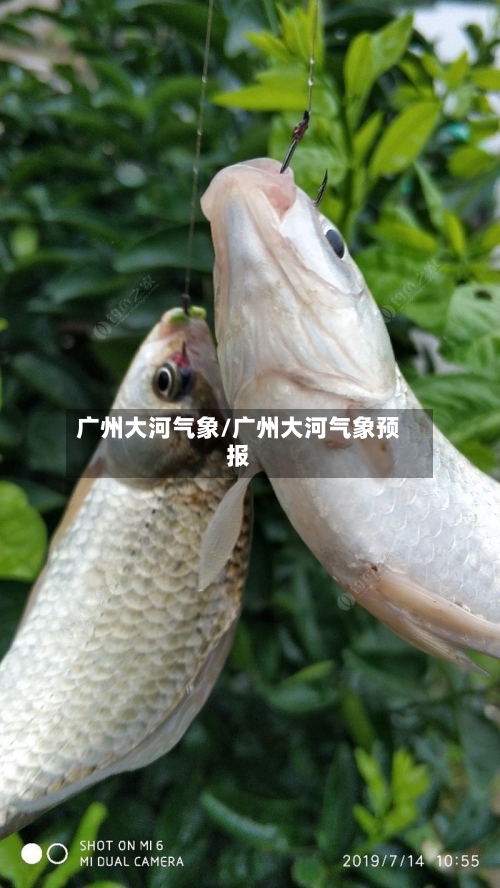 广州大河气象/广州大河气象预报-第2张图片