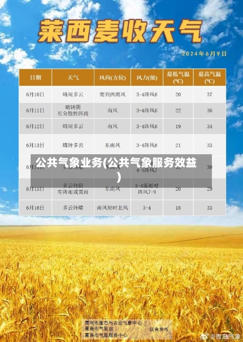 公共气象业务(公共气象服务效益)