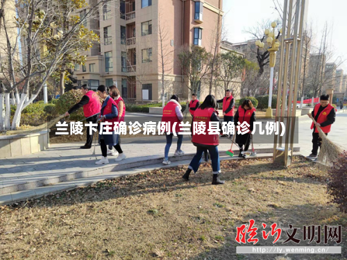 兰陵卞庄确诊病例(兰陵县确诊几例)