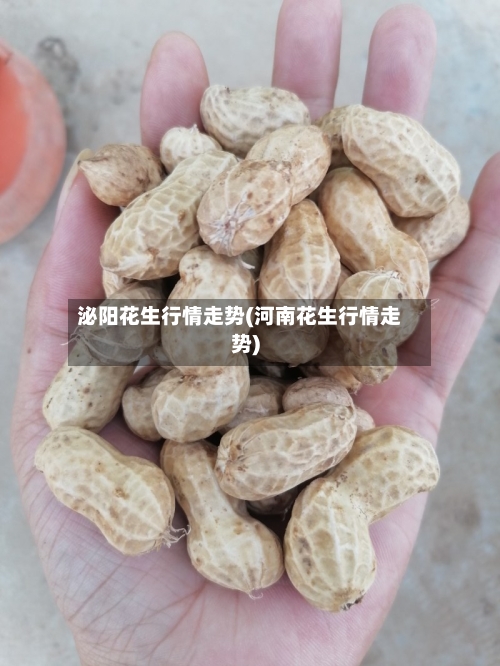 泌阳花生行情走势(河南花生行情走势)-第2张图片