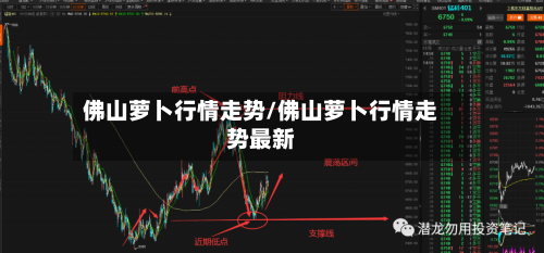 佛山萝卜行情走势/佛山萝卜行情走势最新