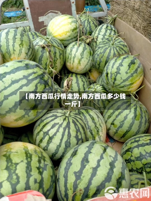 【南方西瓜行情走势,南方西瓜多少钱一斤】-第3张图片