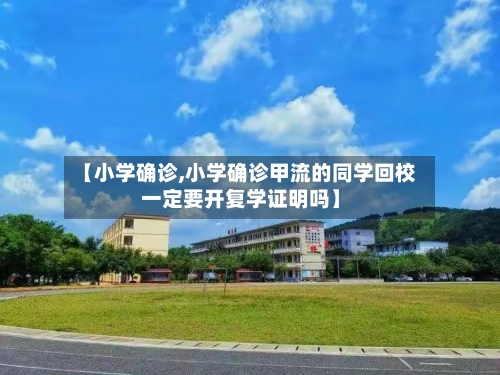 【小学确诊,小学确诊甲流的同学回校一定要开复学证明吗】