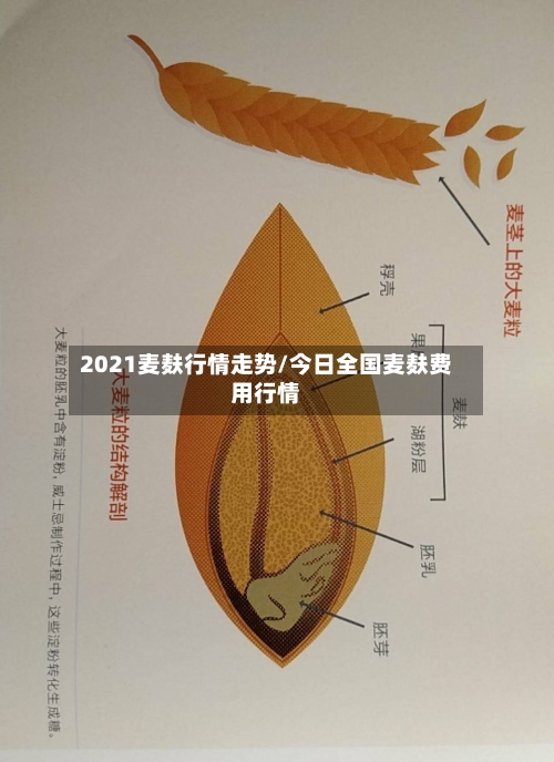 2021麦麸行情走势/今日全国麦麸费用行情