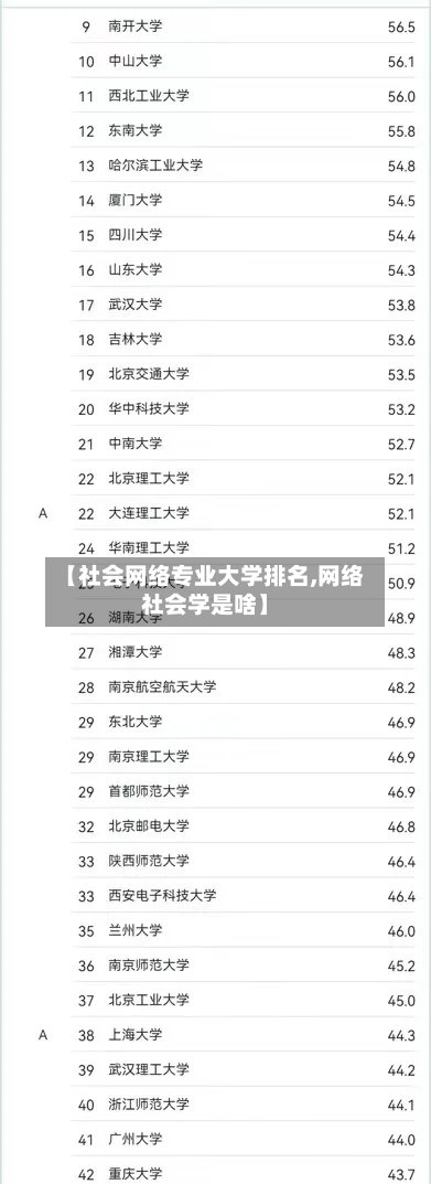 【社会网络专业大学排名,网络社会学是啥】