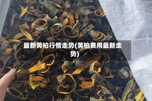 最新黄柏行情走势(黄柏费用最新走势)