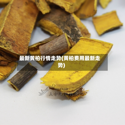 最新黄柏行情走势(黄柏费用最新走势)-第2张图片